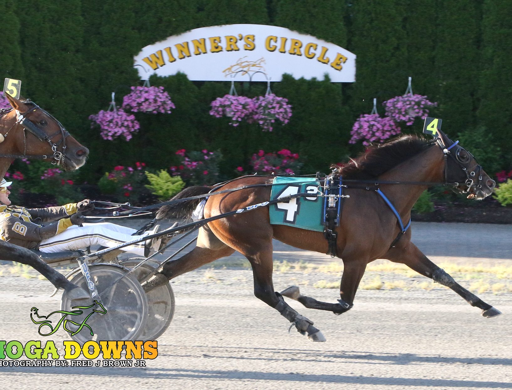 Buter wins five at Pocono qualifiers