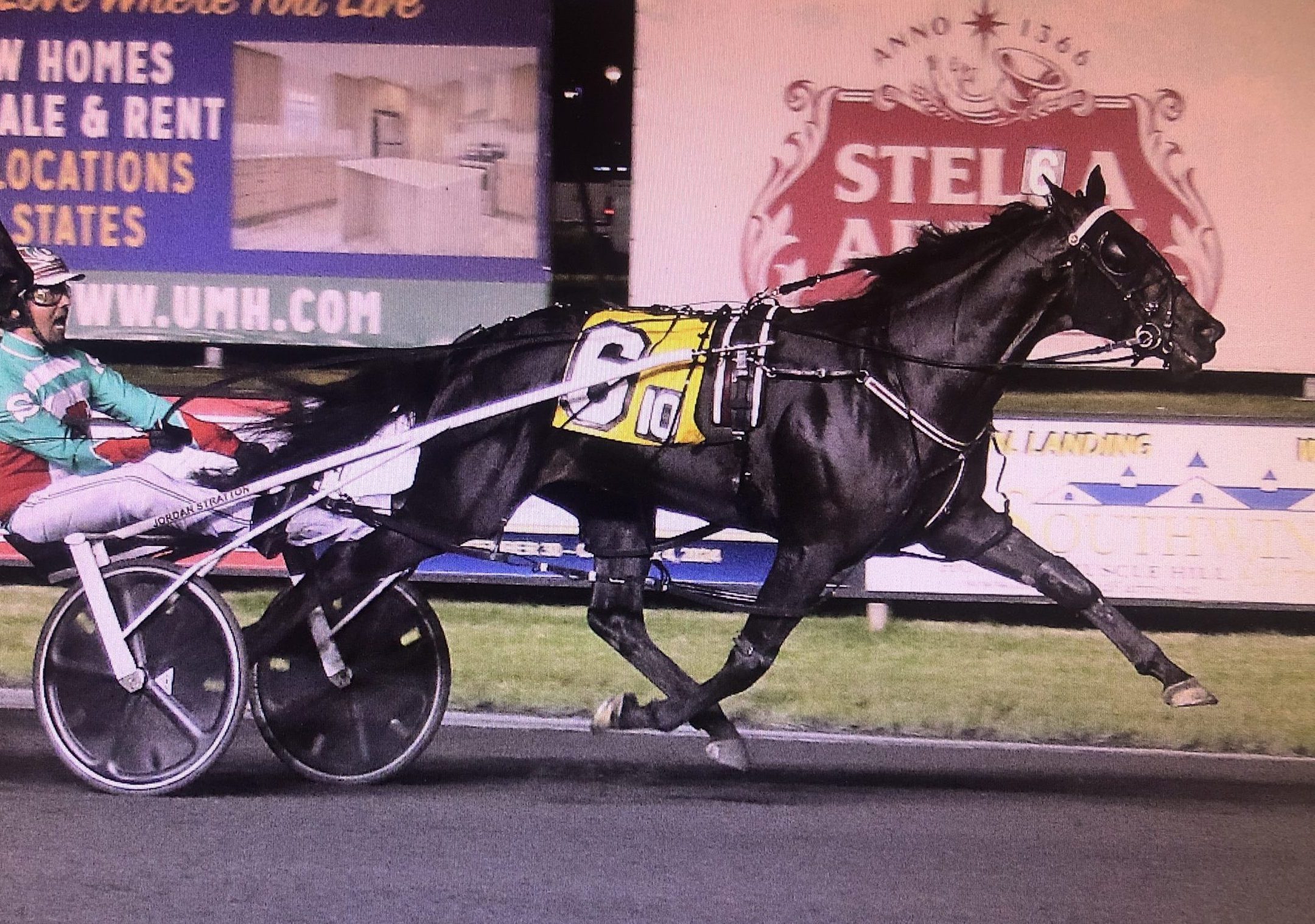 Voukefalas – a home bred hero by Lazarus