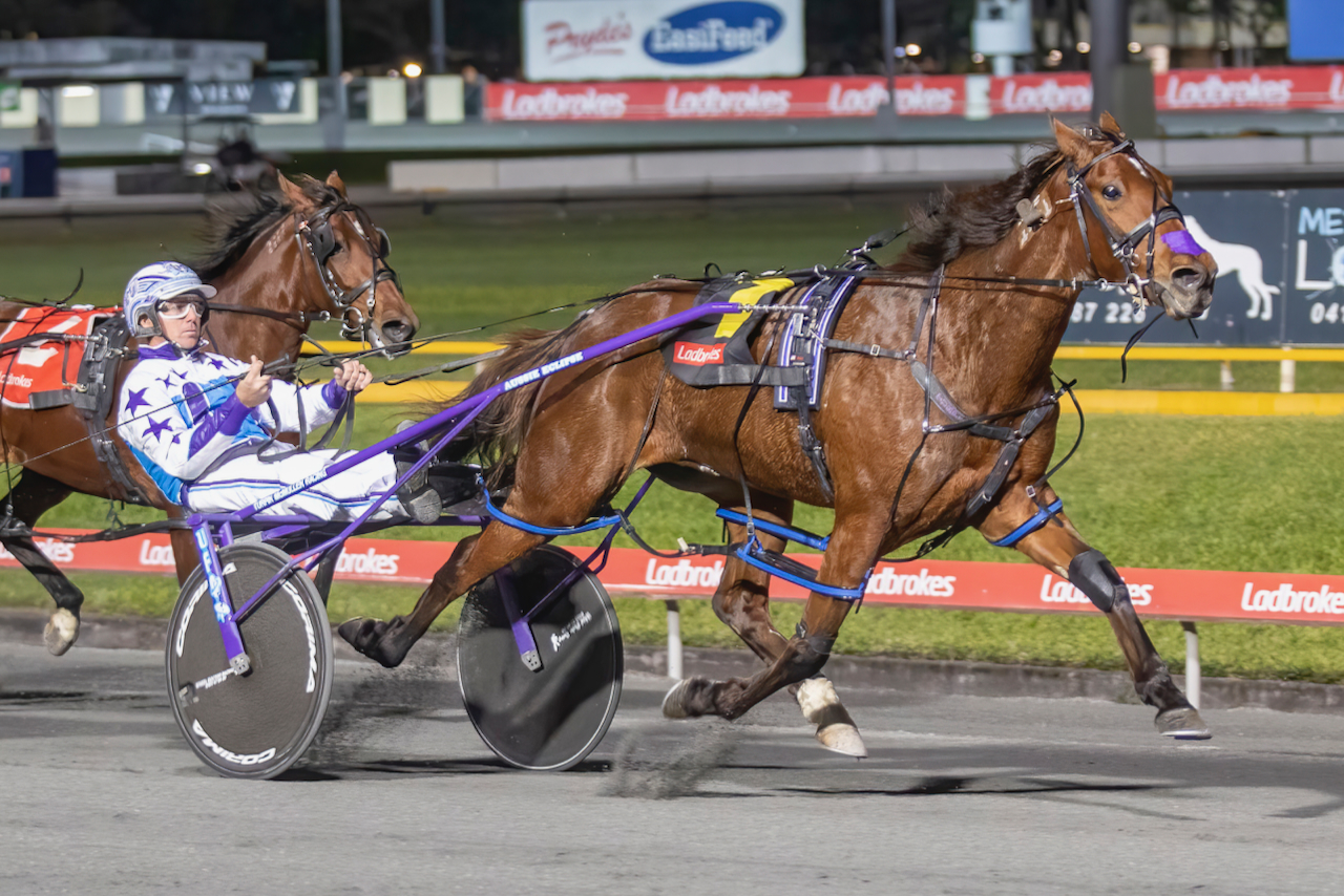 Ex-Kiwi mare wins $50,000 Matchmaker division