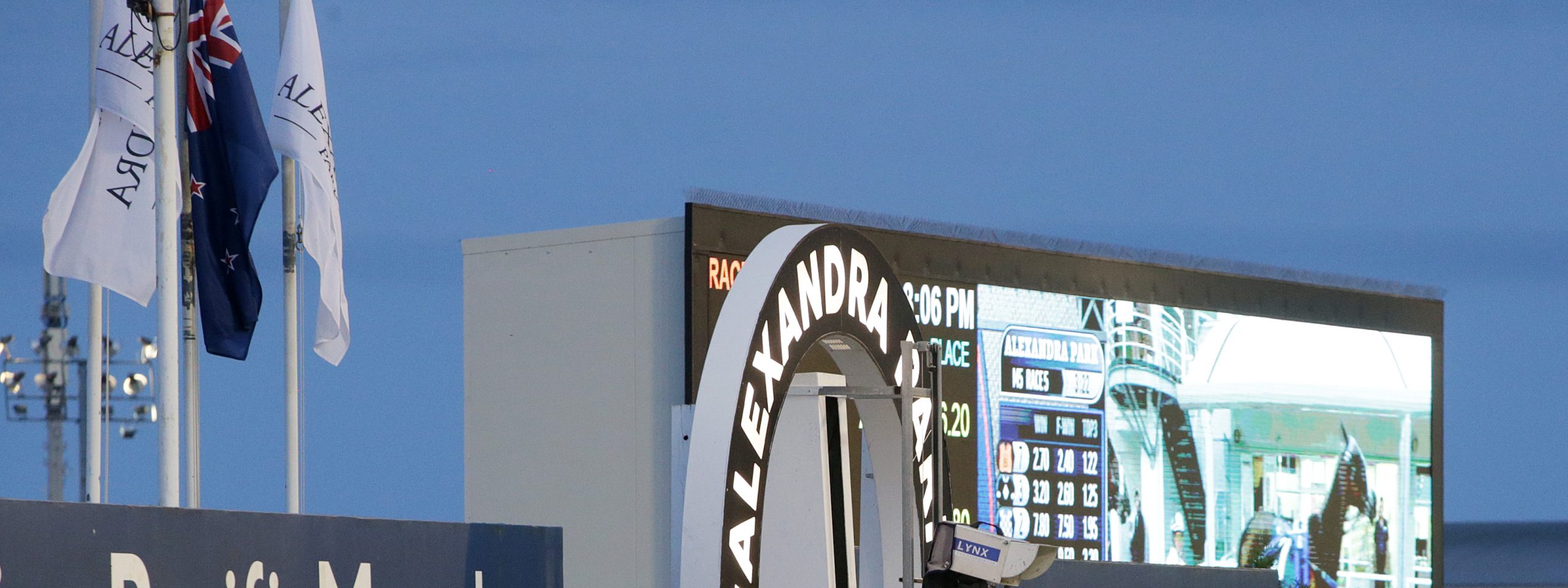 Darl gets diamonds for Christmas