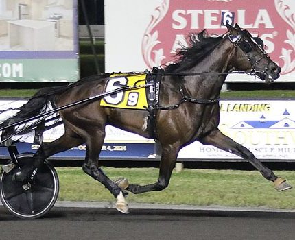 Lexington Selected Yearling Sale catalogue online