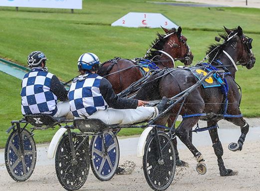 Three good chances for Stonewall at Ascot Park today