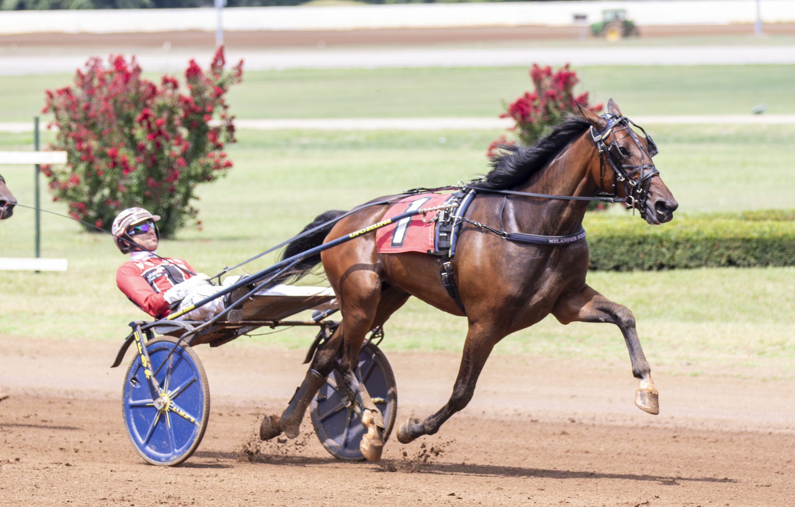 Kadena sells for $1.2million as Mixed Sale sets new record