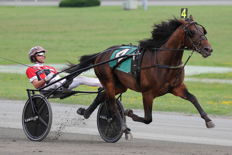 Super Chapter looking to author $300,000 Yonkers Trot win