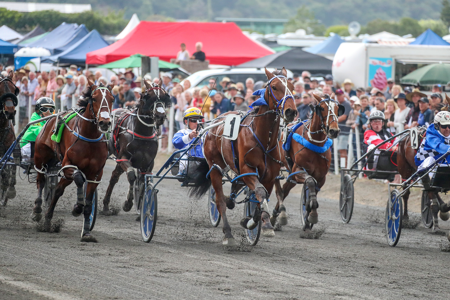 Classy field assembled for 100th running of the Kaikoura Cup