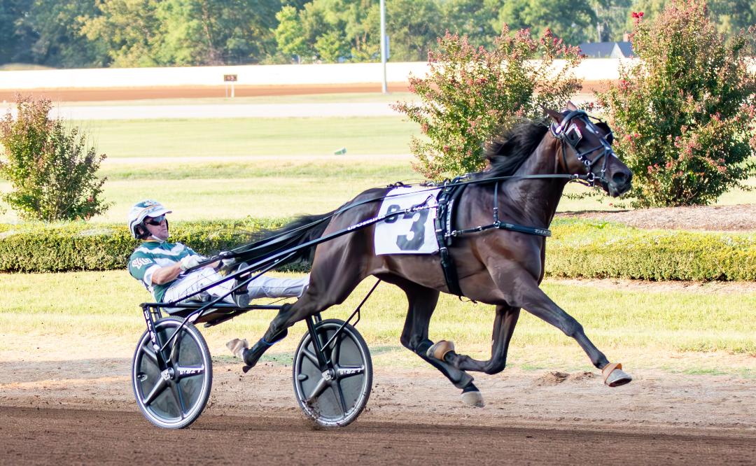 Update on Hambletonian winner Karl