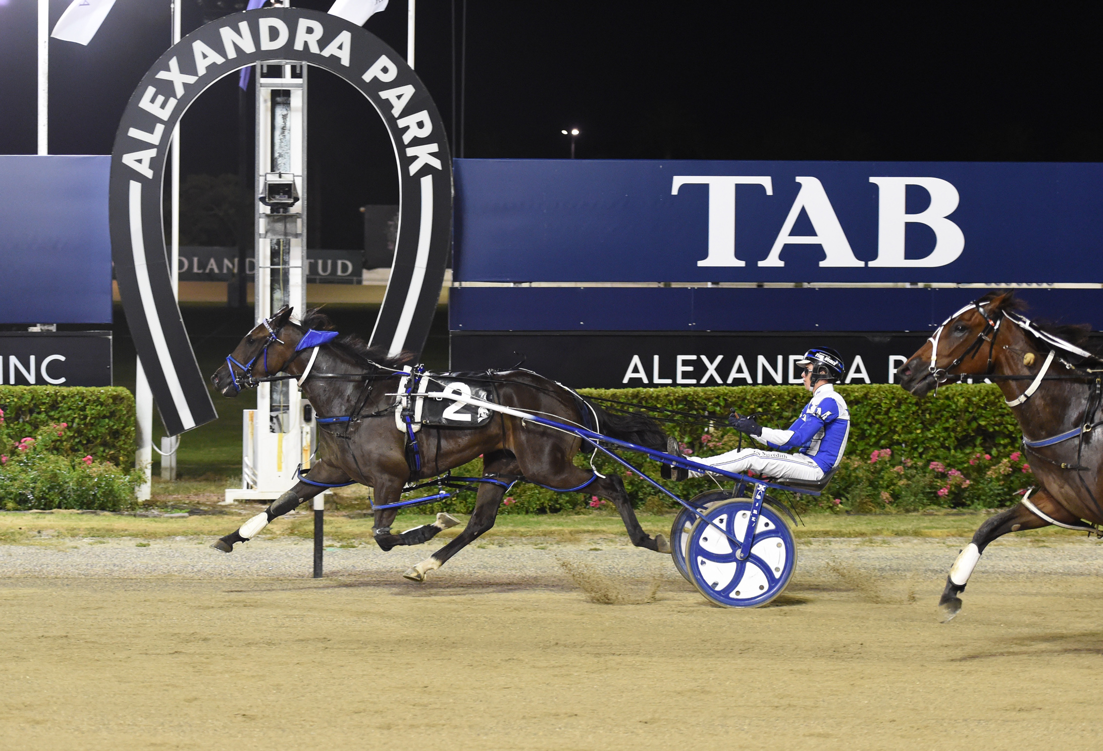 Big team in for Donnelly tonight