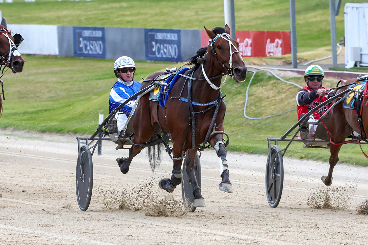 Pinseeker wins his way into the $1m Race by betcha