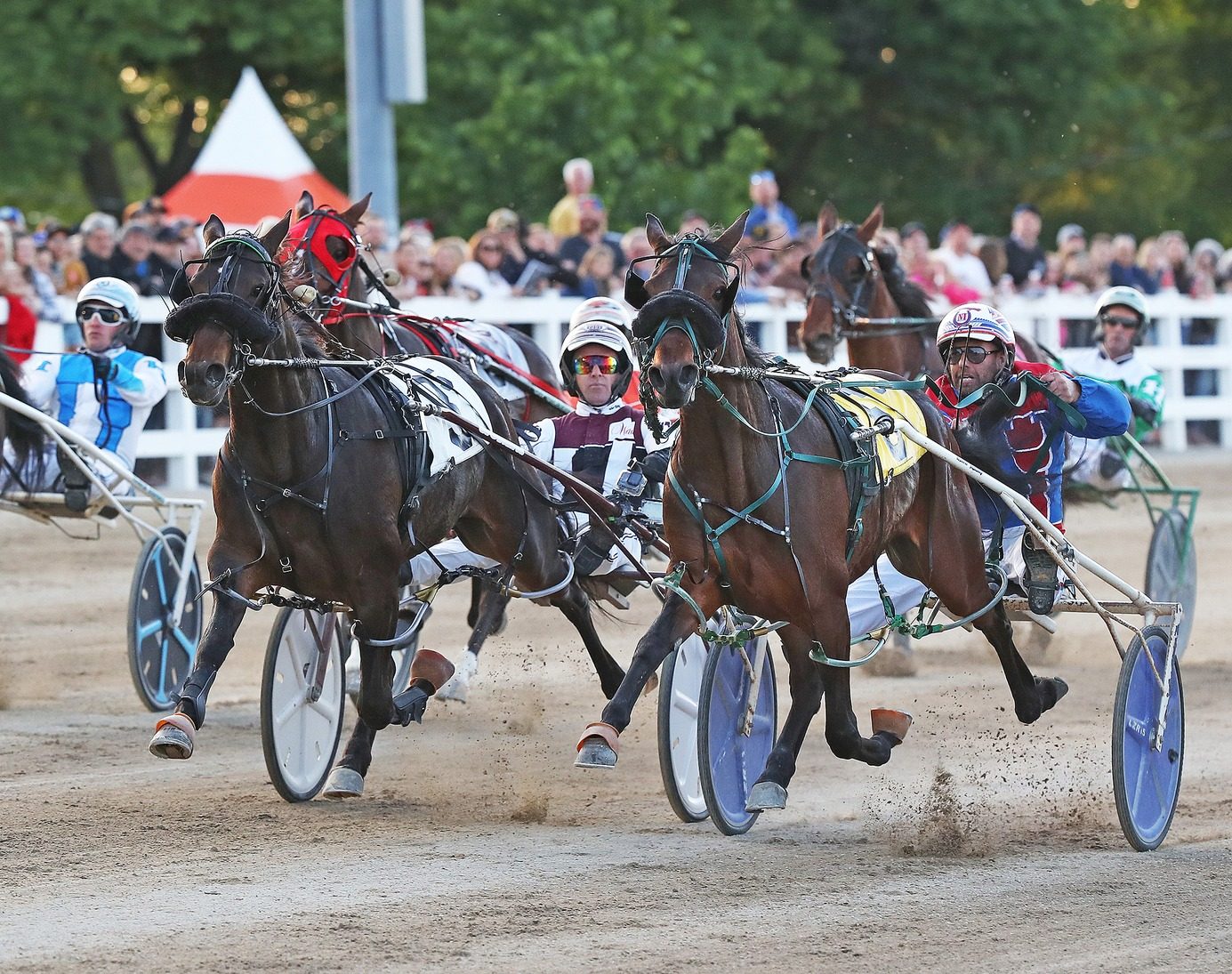 Four regions, Eight drivers, One cause