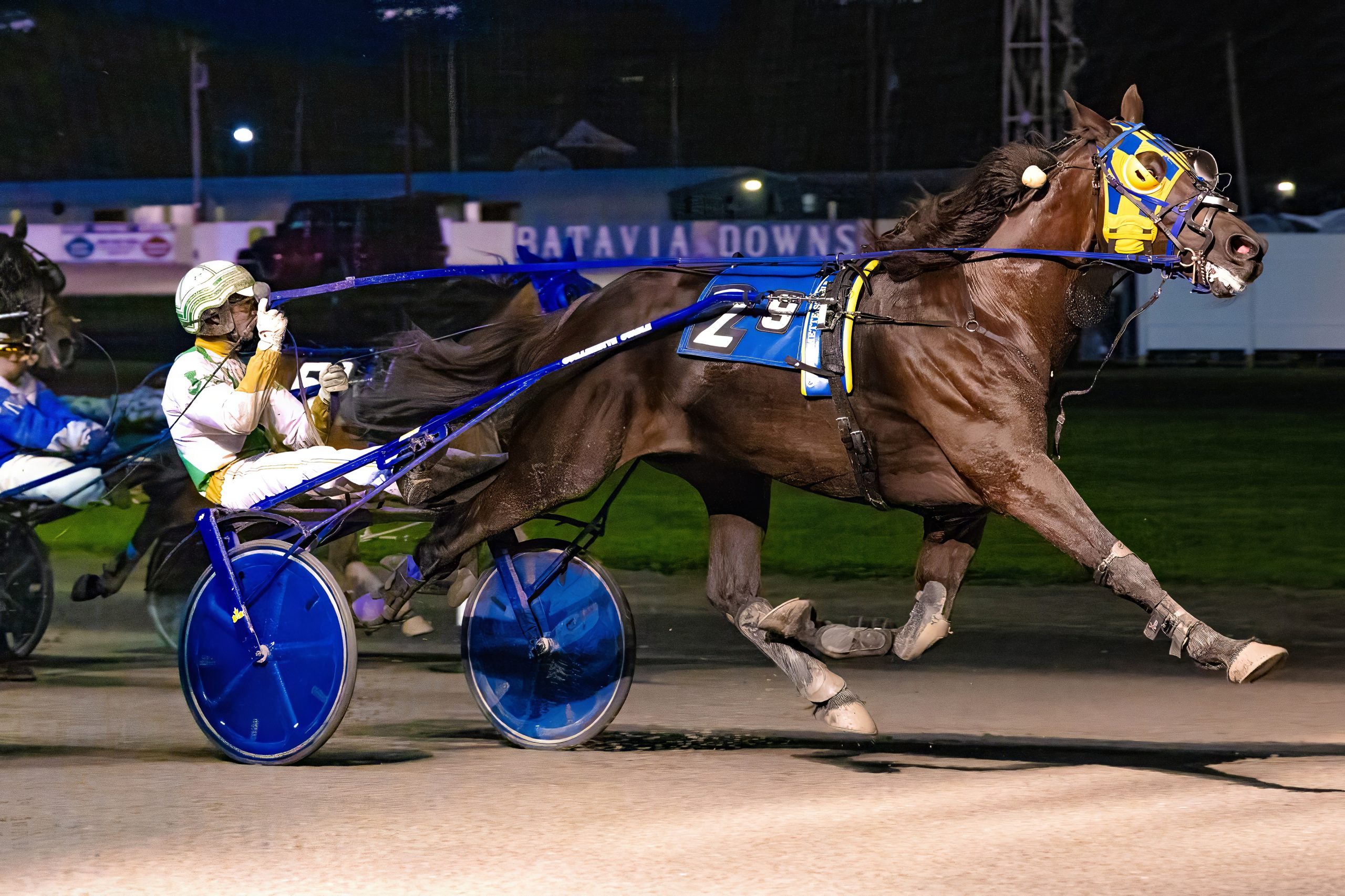 Treasured Tee toughs out Preferred-Handicap win