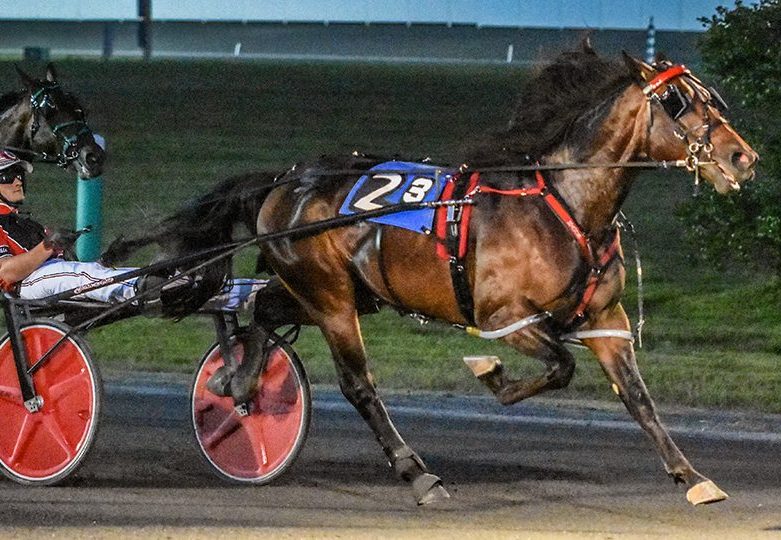 Yall Keep Dreaming driven with authority