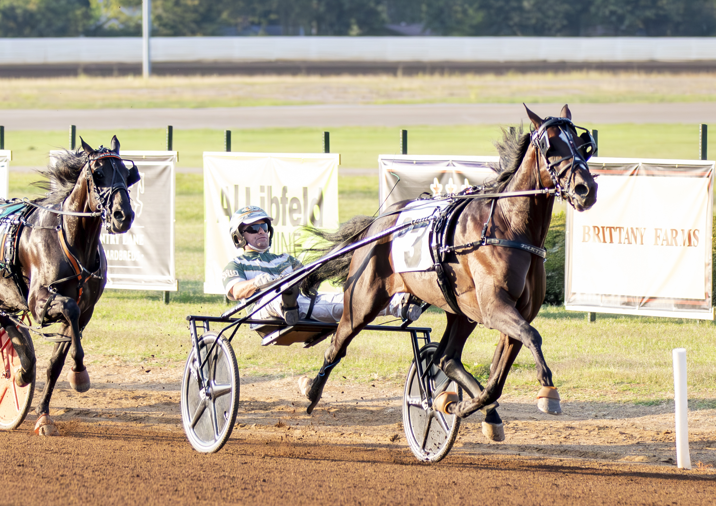 Karl vleared to breed a full book of 140 mares