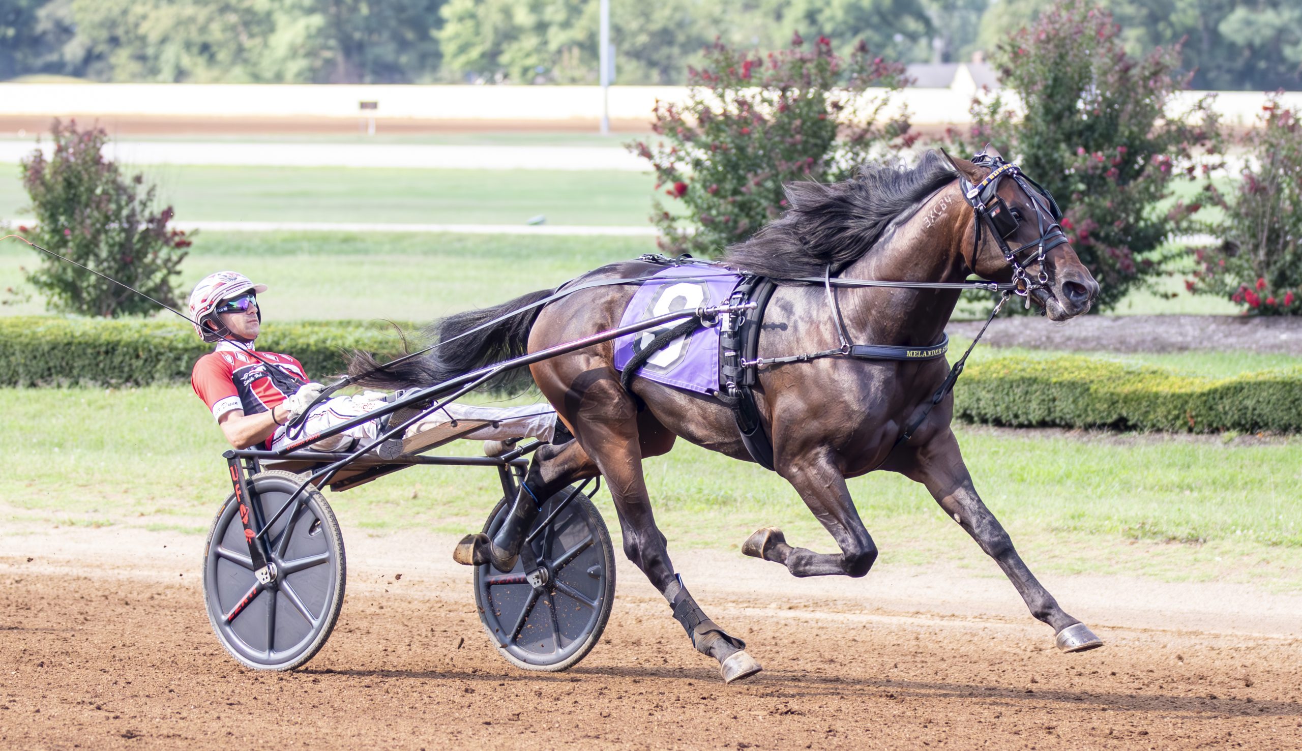 Super Chapter seeks redemption in $80K Kentucky Championship