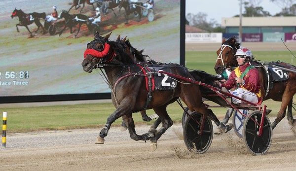 Metro Finals go to Father Barry and Johnny Lincoln