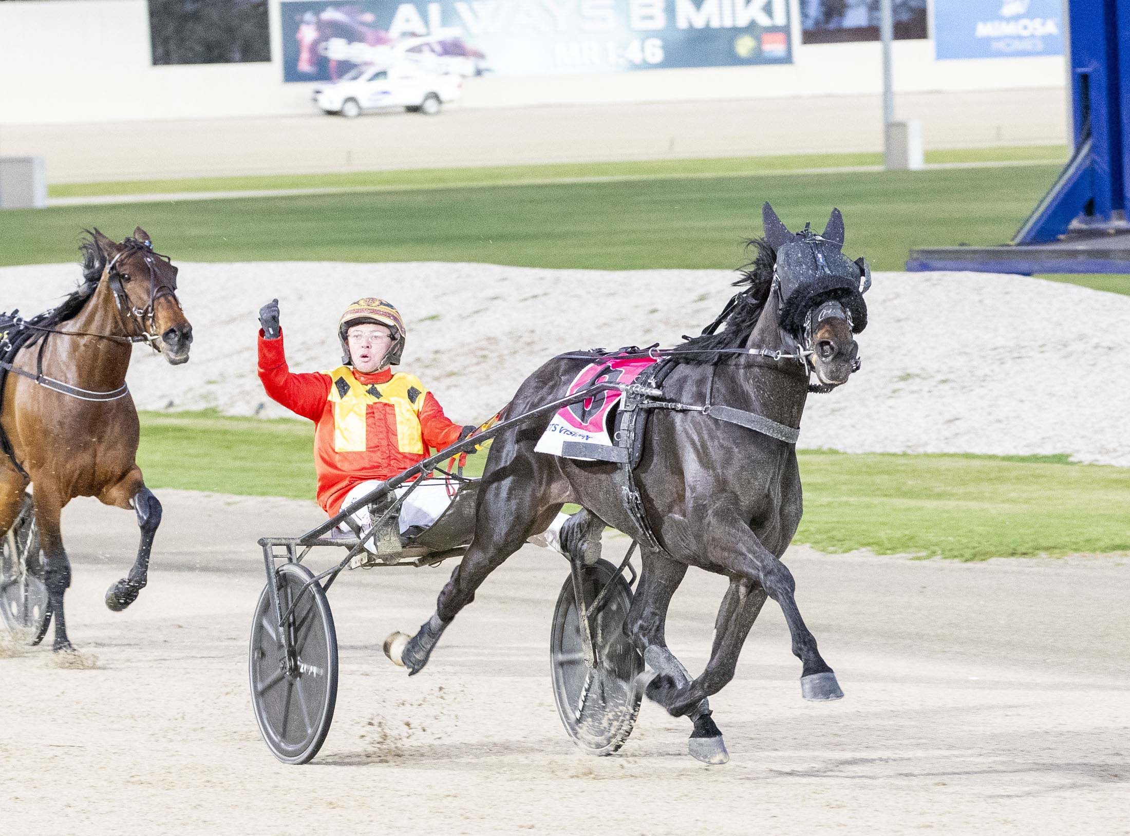 Unbeaten Volstead mare searching for 16 in a row