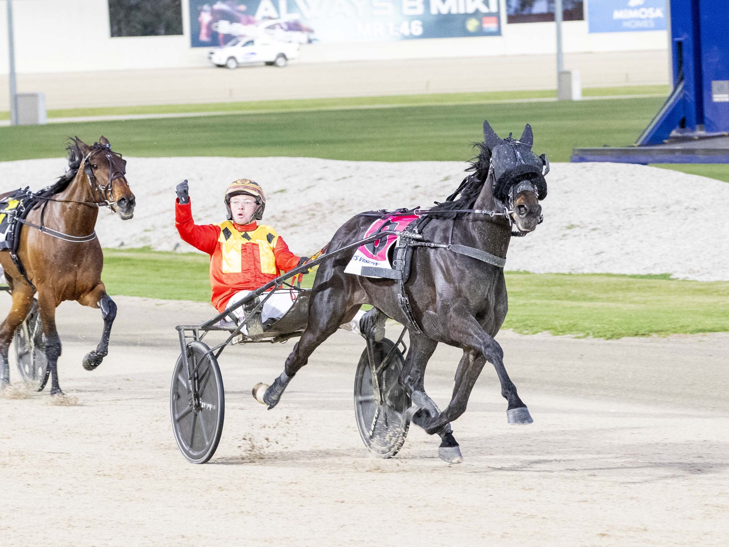 Superstar daughter of Volstead to miss Inter Doms?