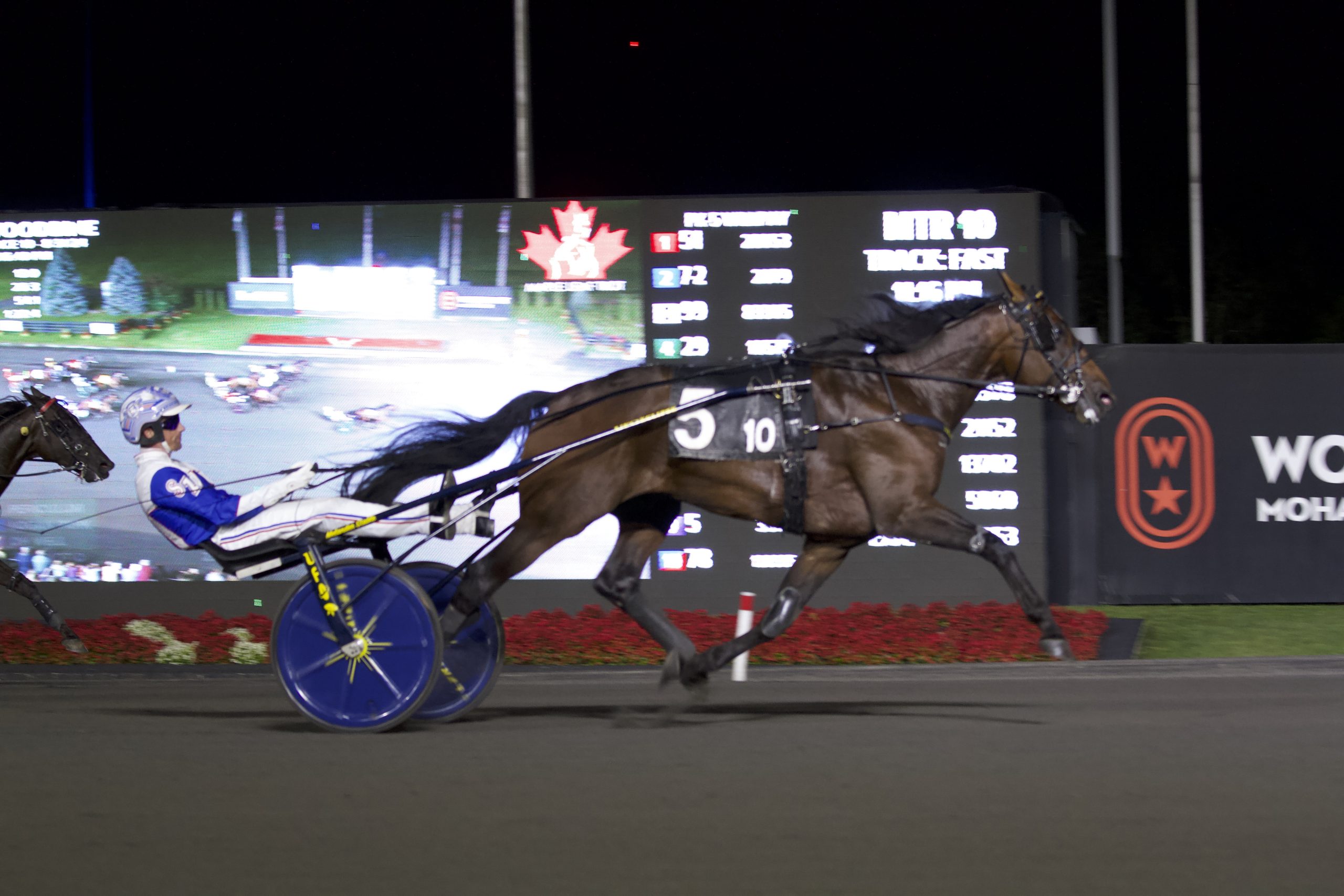 Watch the Canadian Pacing Derby and the Maple Leaf Trot live