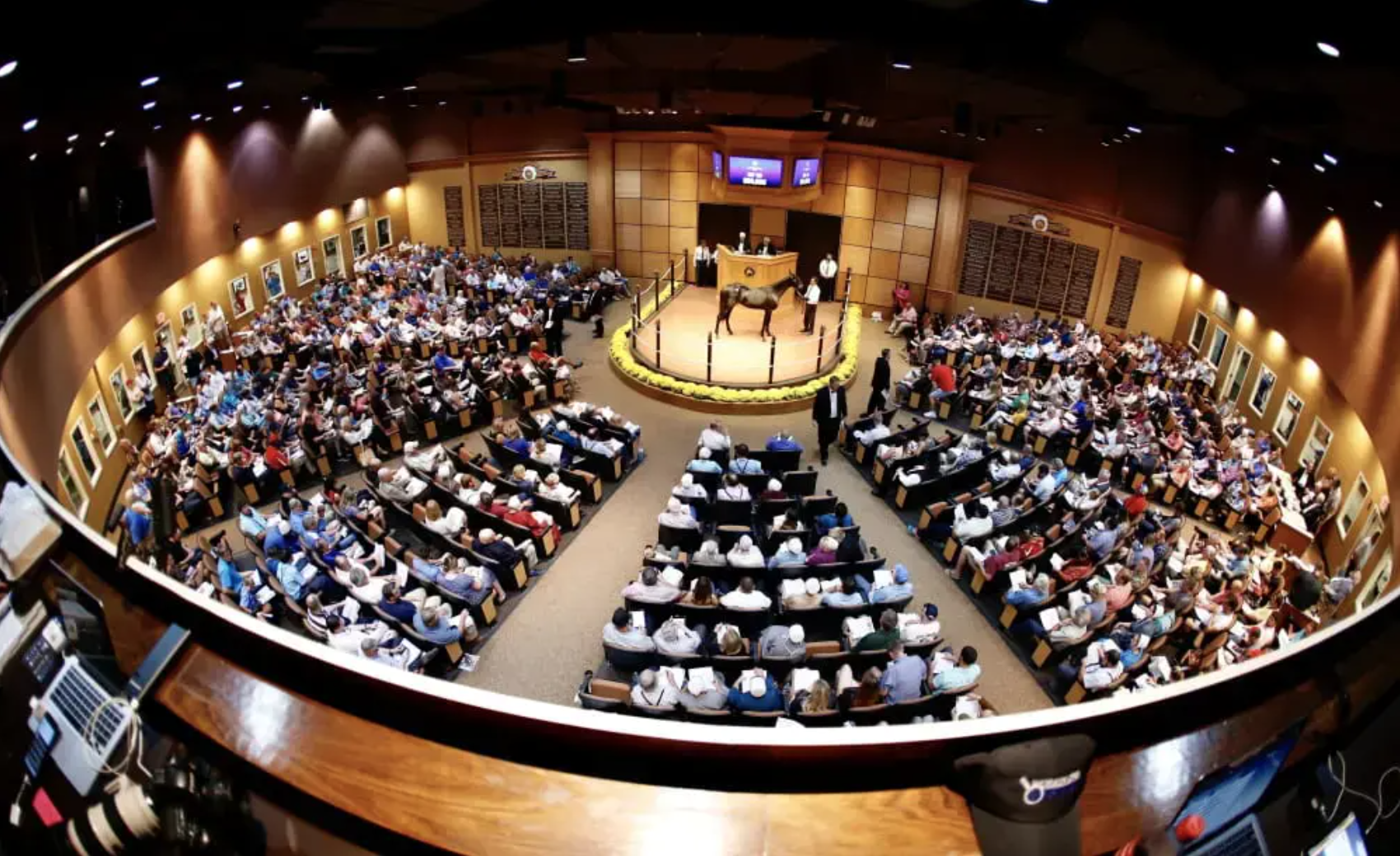 Lexington Sale 2025 | Live Streaming, Results & Updates