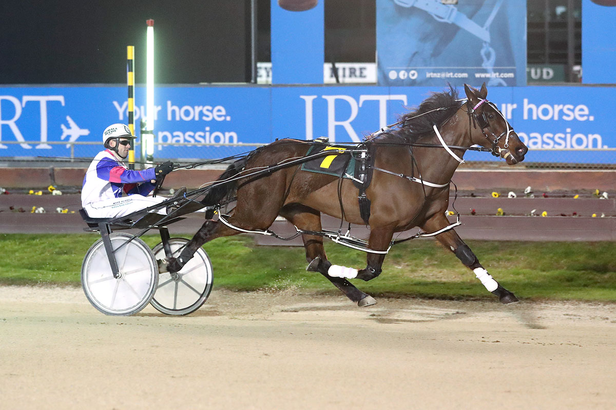 Ferguson confident Wag Star can match rivals