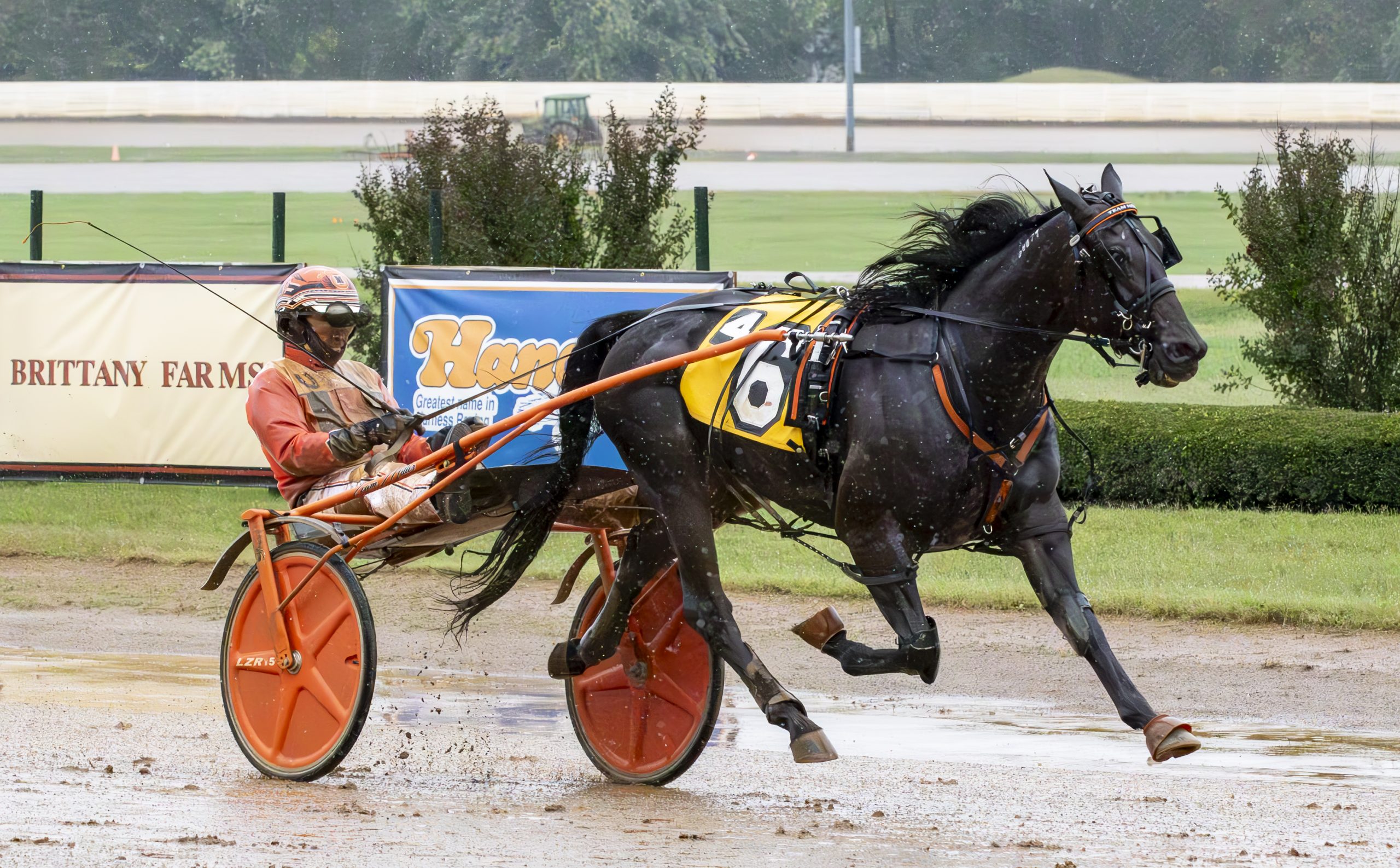 Fast mile posted by Chapter Seven gelding