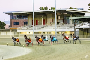 Miss Knowall delivers emotional tribute victory