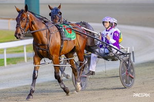 Steno back where it all started