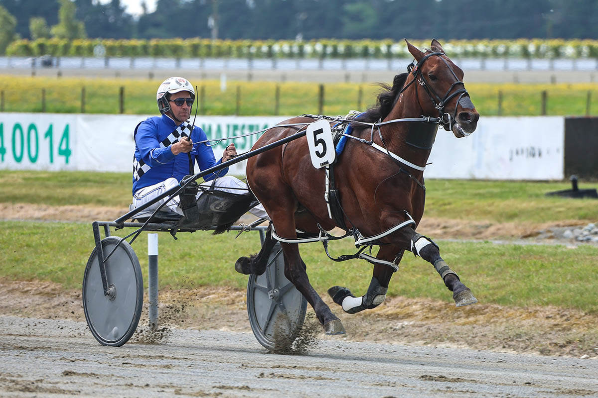 Dreams Are Free close to resuming