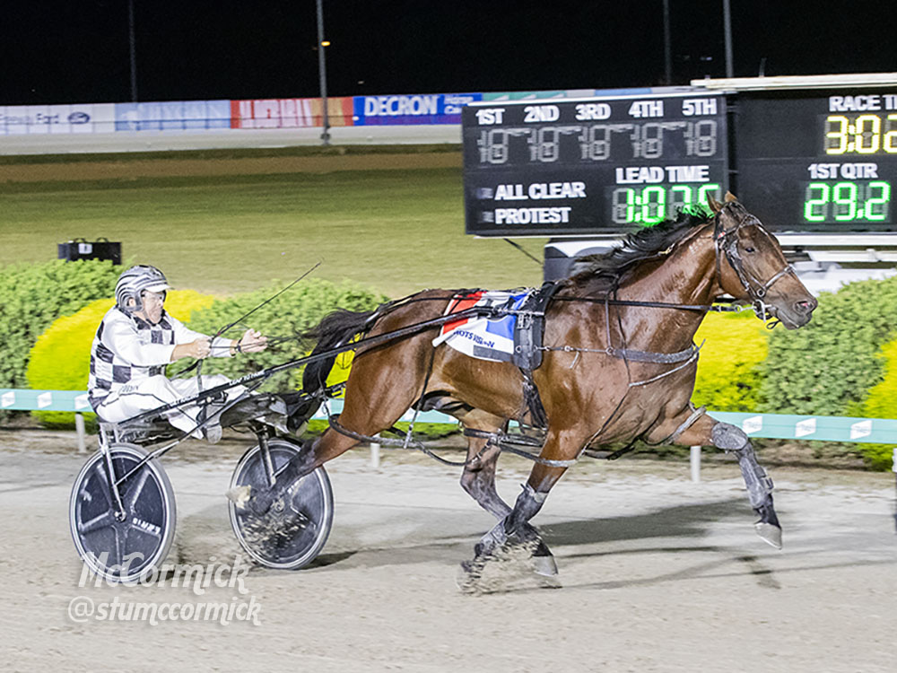 Champion pacer looking to defend his Newcastle Mile title