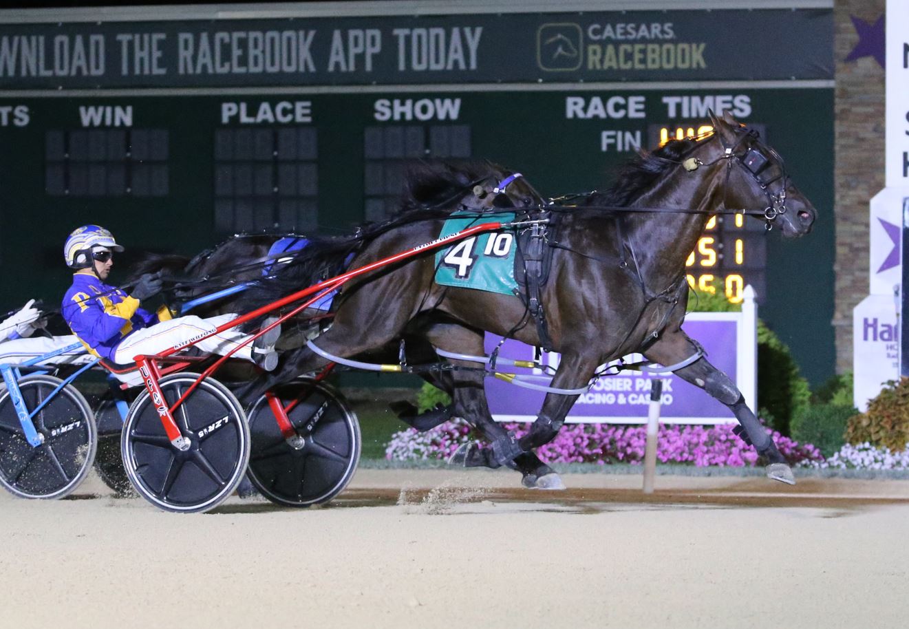 Sabonis to stand stud in Indiana in 2026