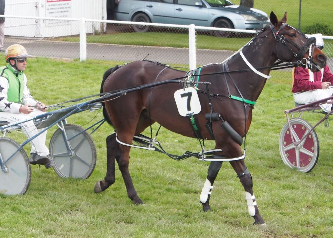 Purvis confident stable duo can strike again