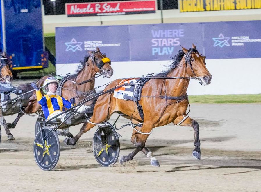 Swayzee primed for Hunter Cup defense