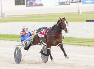 Cantfindabettorman in welcome return first up