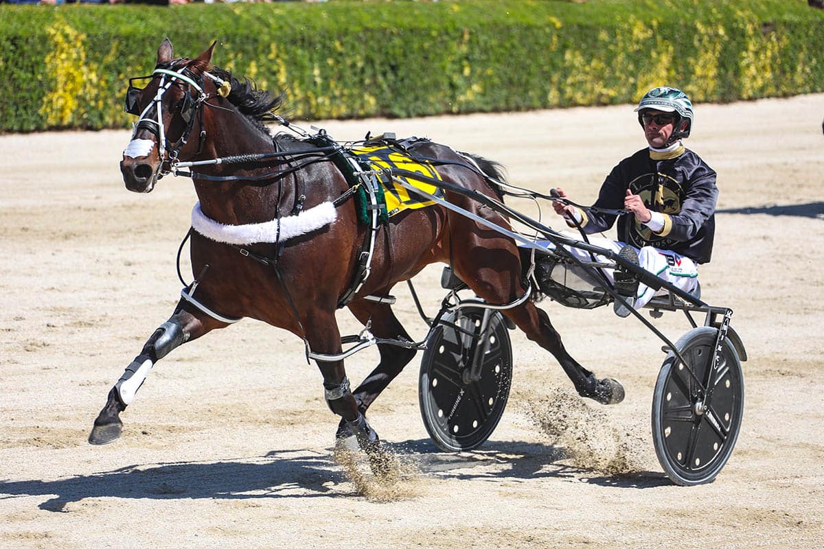 Butt confident as The Lazarus Effect targets Invercargill Cup
