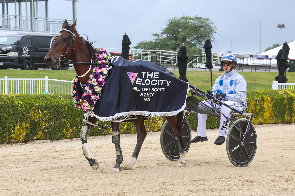 Better Knuckle Up gets chance to end drought