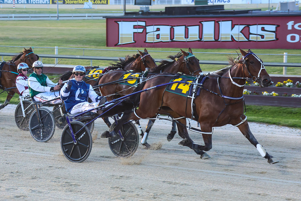 Top mares set for new spring harness series