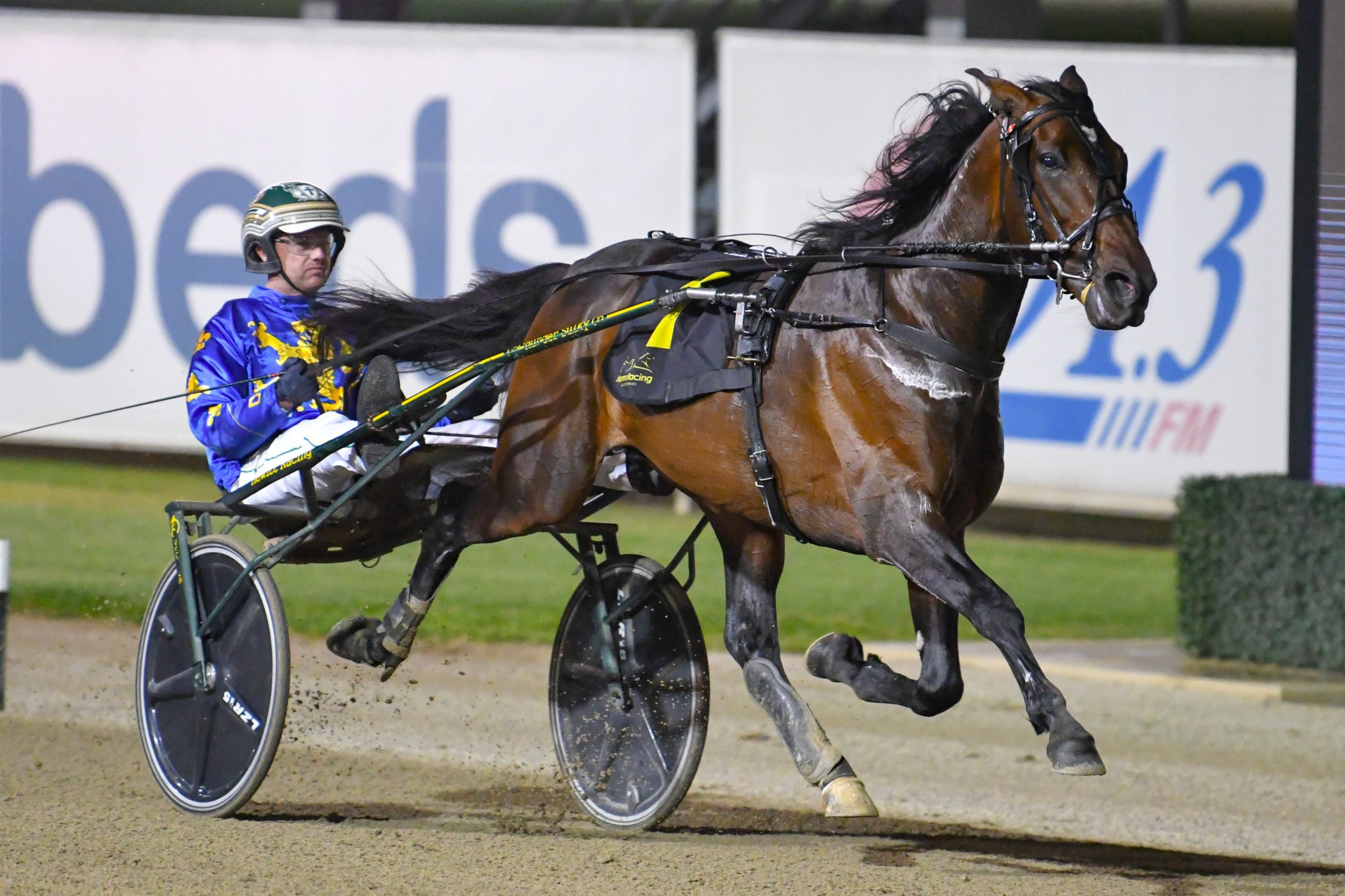 The Locomotive steams back to the track this weekend