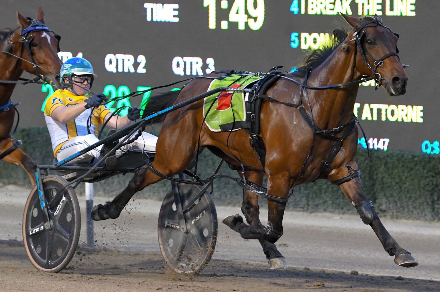 Max Delight chasing Inter Dominion glory