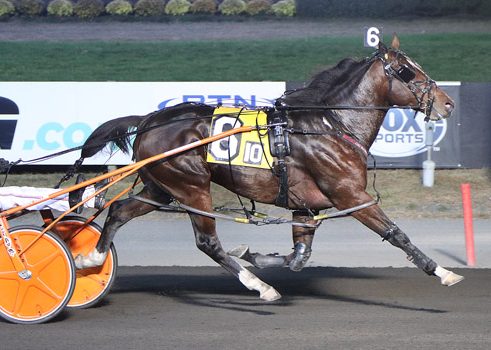 ‘Pistol’ takes aim at $1 million North America Cup