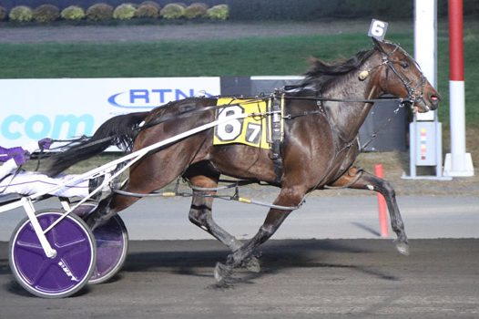 Captaintreacherous filly speeds to easy win