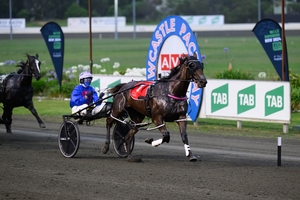 Minstrel and Heza Sport withdrawn from NZ Cup
