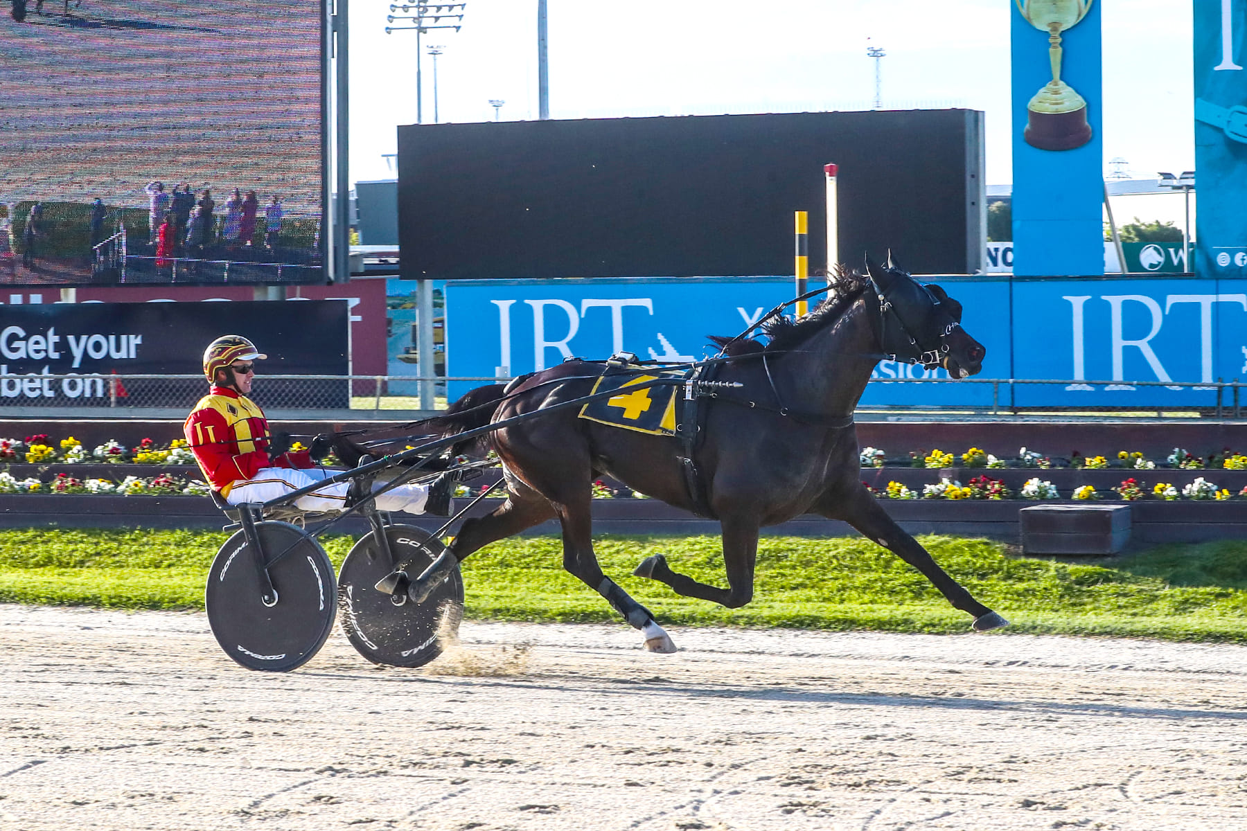 Two gun Aussie trotters out of Inter Dominions