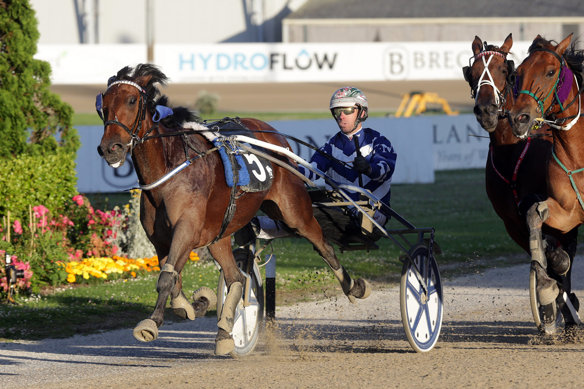 One More Moment the horse to beat