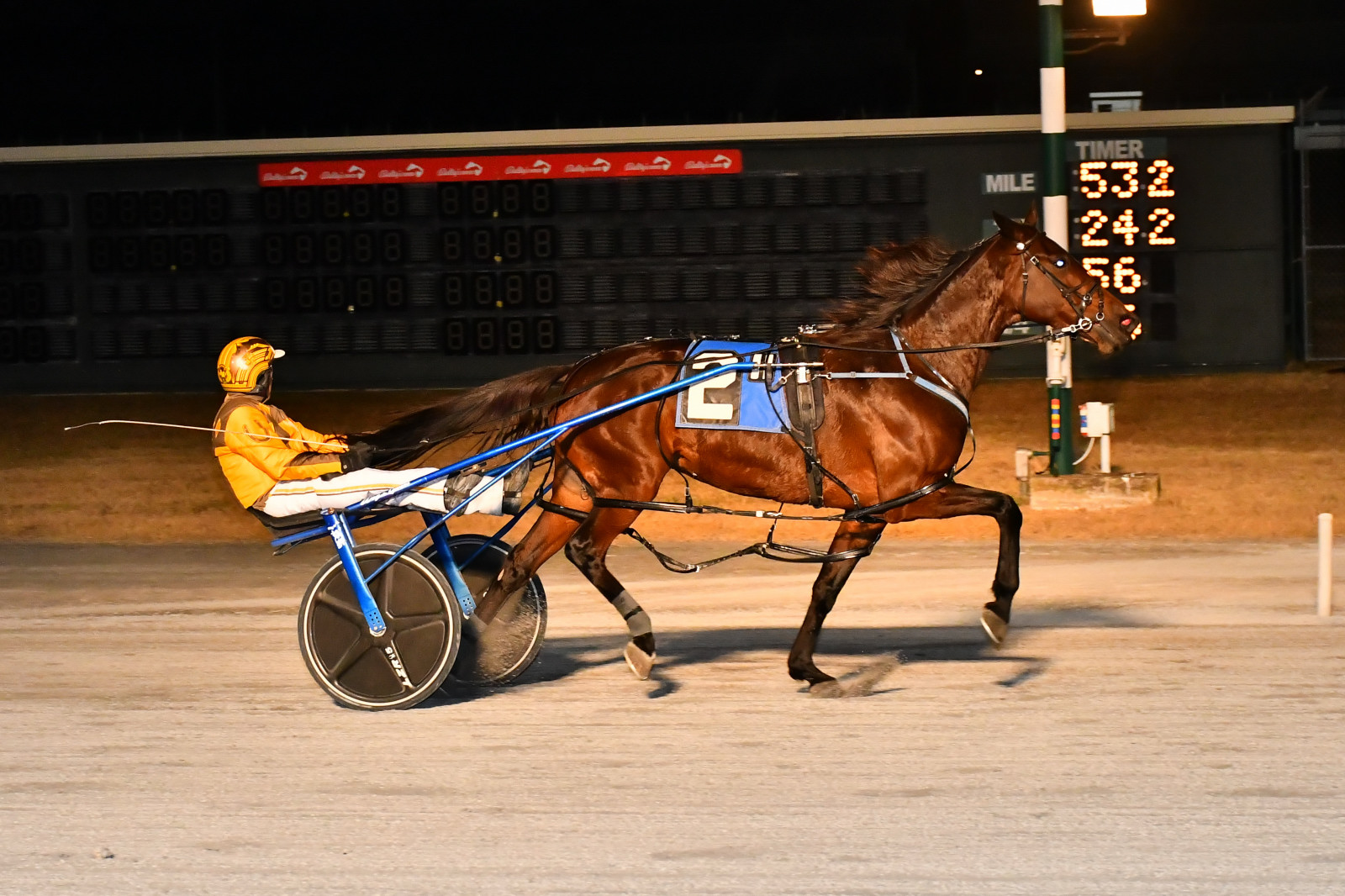 Incaseyoudidntknow closes to Open win