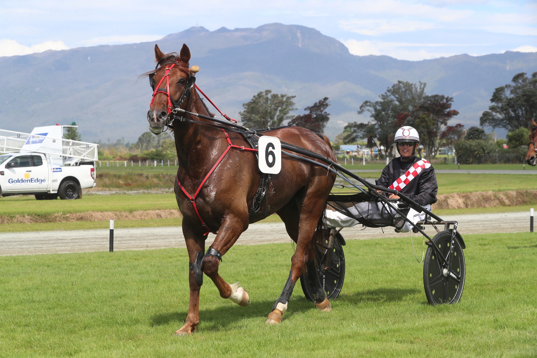 Bob Rochford Memorial Trotters’ Series heads to Nelson