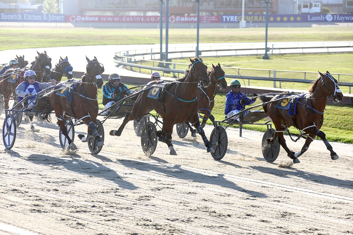 Wide open field for Cheviot Cup