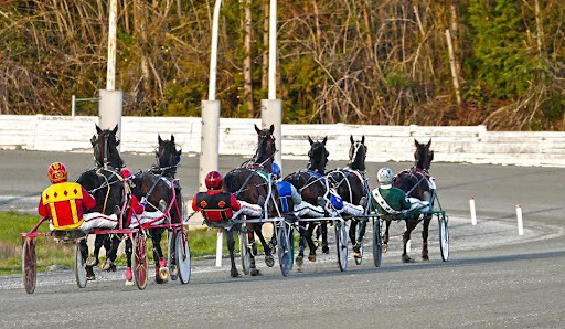 Fraser Downs Spring meet finishes on a high note