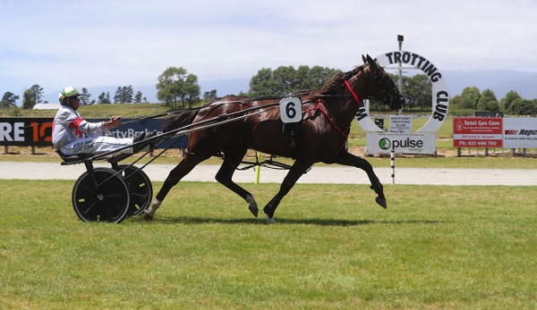 Good book of drives for Orange at Nelson