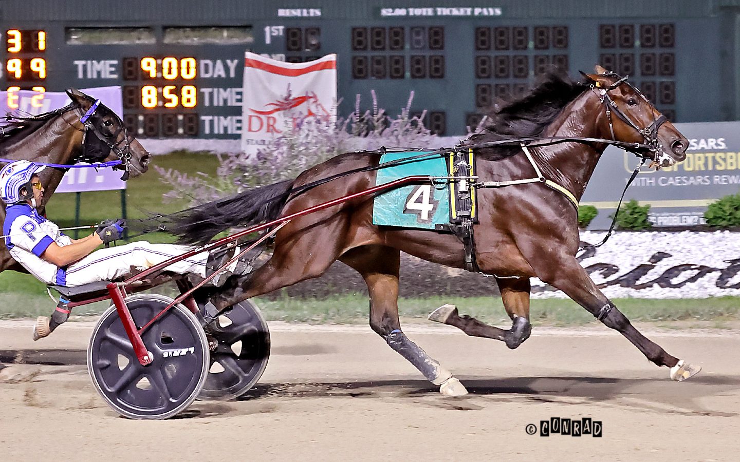 Tennessee Tom earns back-to-back Ohio divisional honors