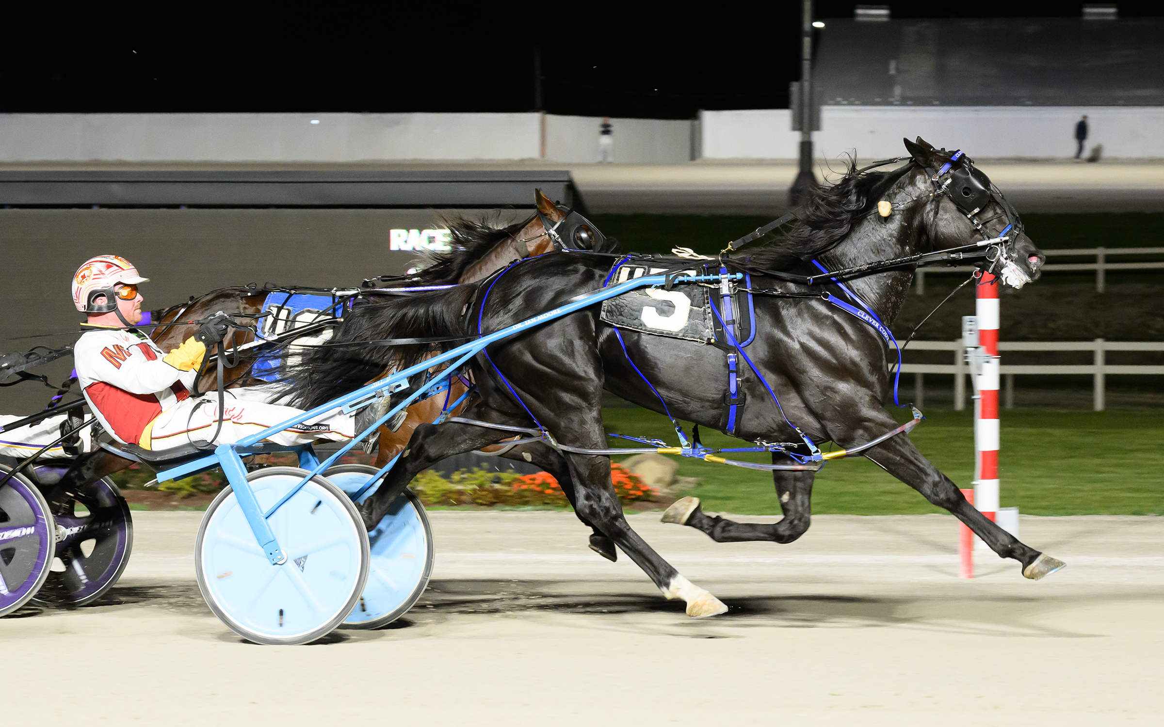 Clever Cody takes second straight Ohio divisional title