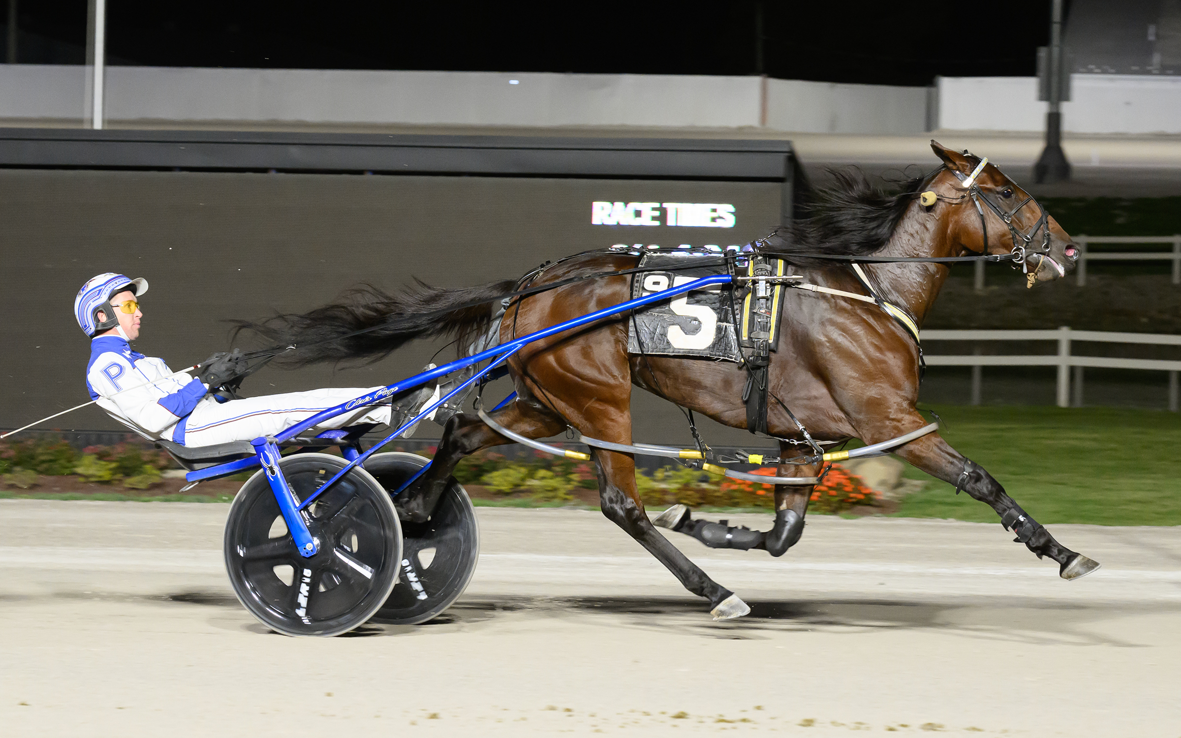 Seaside Diva doubles up in Ohio divisional titles